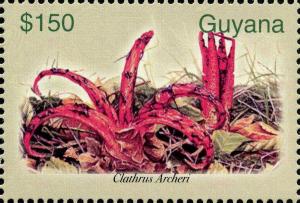 Colnect-3137-573-Clathrus-archeri.jpg