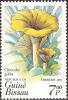 Colnect-1168-654-Clitocybe-gibba.jpg