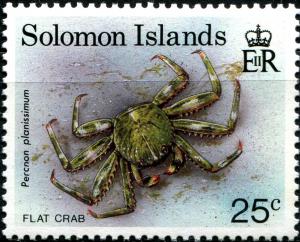 Flat-Rock-Crab-Percnon-planissimus.jpg