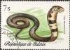 Colnect-1472-401-Forest-Cobra-Naja-melanoleuca.jpg