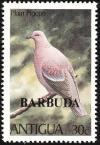 Colnect-1906-857-Plain-Pidgeon-Columba-inornata---Overprinted.jpg