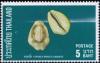 Colnect-2236-018-Money-Cowrie-Cypraea-moneta.jpg