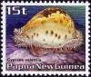 Colnect-2403-183-Prince-Cowry-Cypraea-valentia.jpg