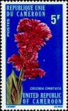 Colnect-2760-040-Cockscomb-Celosia-cristata.jpg