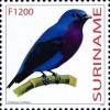 Colnect-3829-901-Cotinga-cotinga.jpg