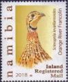 Colnect-5012-729-Orange-River-Francolin-Scleroptila-levaillantoides.jpg