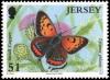 Colnect-5154-160-Small-Copper-Lycaena-phlaeas.jpg