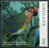 Colnect-5612-089-Gold-Capped-Conure-Aratinga-auricapillus.jpg