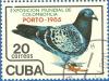 Colnect-681-906-Carrier-Pigeon-Columba-livia-forma-domestica.jpg