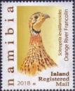 Colnect-5012-729-Orange-River-Francolin-Scleroptila-levaillantoides.jpg