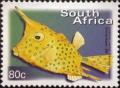 Colnect-3425-589-Longhorn-Cowfish-Lactoria-cornuta-.jpg