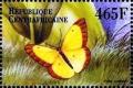 Colnect-4742-197-Colias-eurytheme.jpg