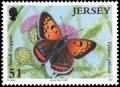 Colnect-5154-160-Small-Copper-Lycaena-phlaeas.jpg