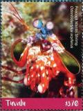 Colnect-6400-724-Peacock-Mantis-Shrimp.jpg