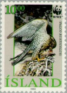 Colnect-165-325-Gyrfalcon-Falco-rusticolus.jpg