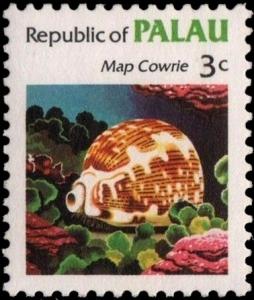 Colnect-2321-650-Map-Cowrie-Cypraea-mappa.jpg