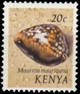 Colnect-4500-611-Humpback-Cowry-Mauritia-mauritania.jpg