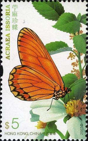 Colnect-1824-836-Yellow-Coster-Acraea-issoria-.jpg