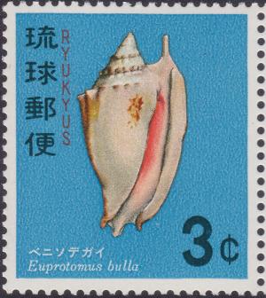 Colnect-1849-289-Bubble-Conch-Euprotomus-bulla.jpg