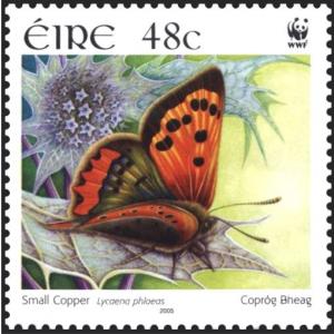 Colnect-1945-027-Small-Copper-Lycaena-phlaeas.jpg