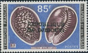 Colnect-2317-065-Humpback-Cowry-Cypraea-mauritana-.jpg