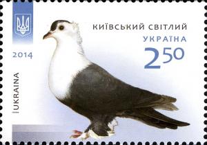 Colnect-2565-406-Kyiv-Tumbler-Columba-livia-forma-domestica.jpg