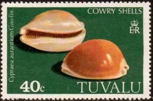 Colnect-2661-560-Golden-Cowry-Cypraea-aurantium.jpg