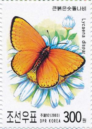 Colnect-3276-459-Large-Copper-Lycaena-dispar.jpg