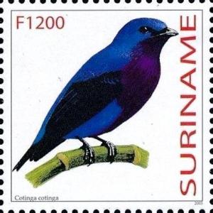 Colnect-3829-901-Cotinga-cotinga.jpg