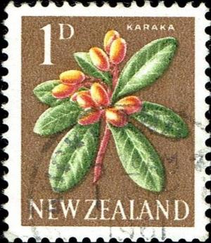 Colnect-5280-645-Karaka-Corynocarpus-laevigatus.jpg