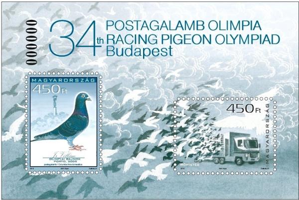 Colnect-2508-180-Racing-Pigeon-Columba-livia-forma-domestica.jpg