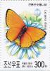 Colnect-3276-459-Large-Copper-Lycaena-dispar.jpg