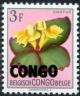 Colnect-1082-264-Costus---o--ptd.jpg