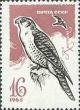 Colnect-193-980-Gyrfalcon-Falco-rusticolus.jpg