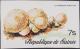 Colnect-3478-621-Lycoperdon-Perlatum.jpg