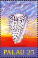 Colnect-3563-137-Conus-litteratus.jpg