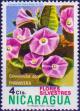 Colnect-3891-090-Convolvulus-spp.jpg