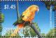 Colnect-5250-540-Golden-Conure-Guaruba-guarouba.jpg