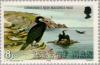 Colnect-124-504-Great-Cormorant-Phalacrocorax-carbo-Maughold-Head-Lightho.jpg