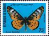 Colnect-2801-490-Window-Acraea-Acraea-doubledayi.jpg