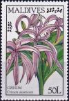 Colnect-4124-217-Crinum-asiaticum.jpg