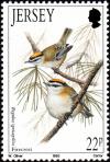 Colnect-6110-256-Common-Firecrest%C2%A0Regulus-ignicapillus.jpg