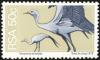 Colnect-675-288-Blue-Crane-Grus-paradisea.jpg