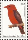 Colnect-965-451-Crimson-Fruitcrow%C2%A0Haematoderus-militaris.jpg