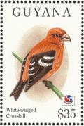 Colnect-1664-209-Two-barred-Crossbill-Loxia-leucoptera.jpg