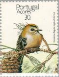 Colnect-186-488-Sao-Miguel-Goldcrest-Regulus-regulus-azoricus.jpg