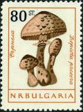 Colnect-2824-198-Macrolepiota-procera.jpg