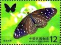 Colnect-3490-092-Striped-Blue-Crow-Euploea-mulciber-barsine.jpg