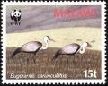 Colnect-864-282-Wattled-Crane-Grus-carunculata.jpg