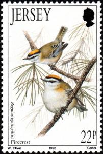 Colnect-6110-256-Common-Firecrest%C2%A0Regulus-ignicapillus.jpg